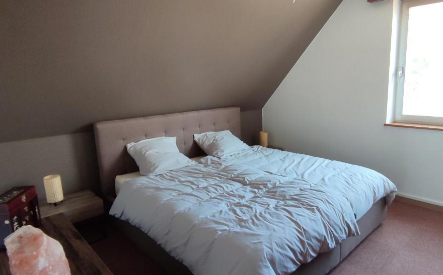 Appartement Le Strasbourgeois à Illkirch-Graffenstaden Extérieur photo