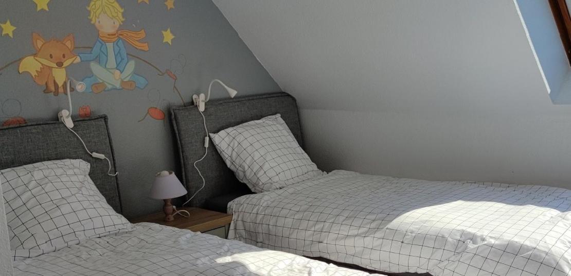Appartement Le Strasbourgeois à Illkirch-Graffenstaden Extérieur photo