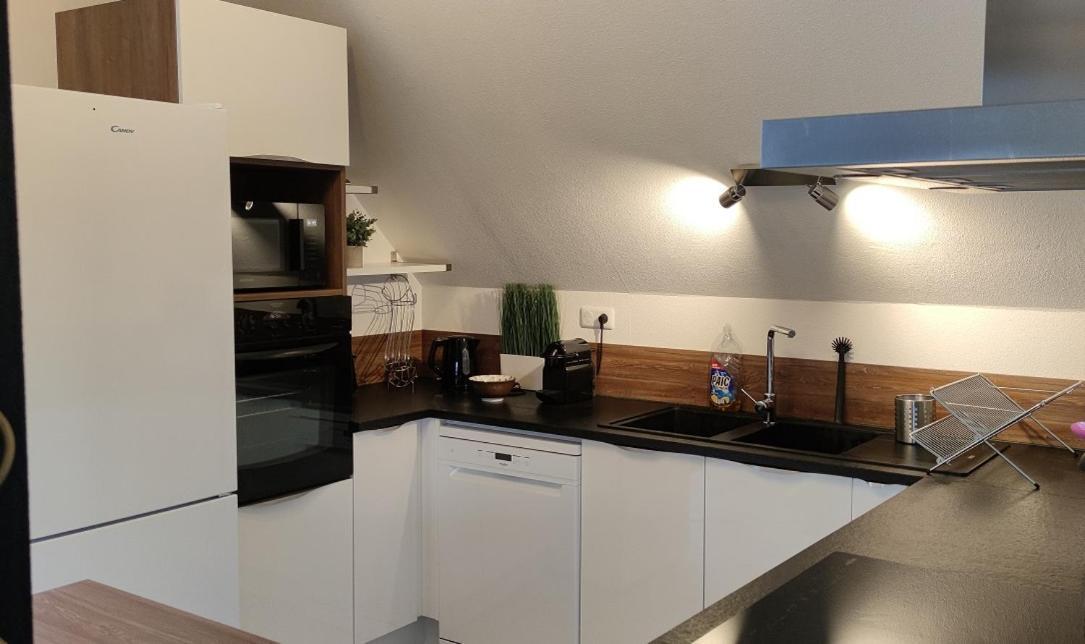 Appartement Le Strasbourgeois à Illkirch-Graffenstaden Extérieur photo