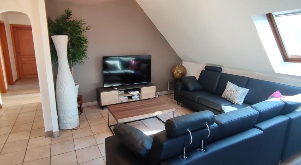 Appartement Le Strasbourgeois à Illkirch-Graffenstaden Extérieur photo
