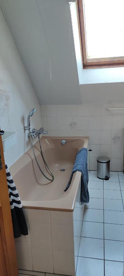 Appartement Le Strasbourgeois à Illkirch-Graffenstaden Extérieur photo